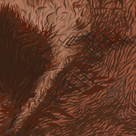 Close up image of fur
