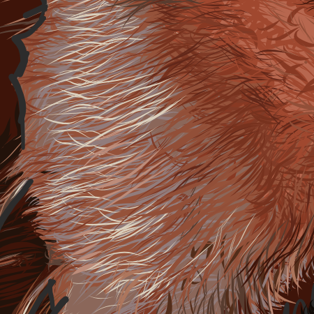 Close up image of jowel